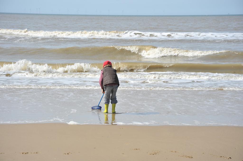 Hotel Zuiderduin Egmond aan Zee Ngoại thất bức ảnh
